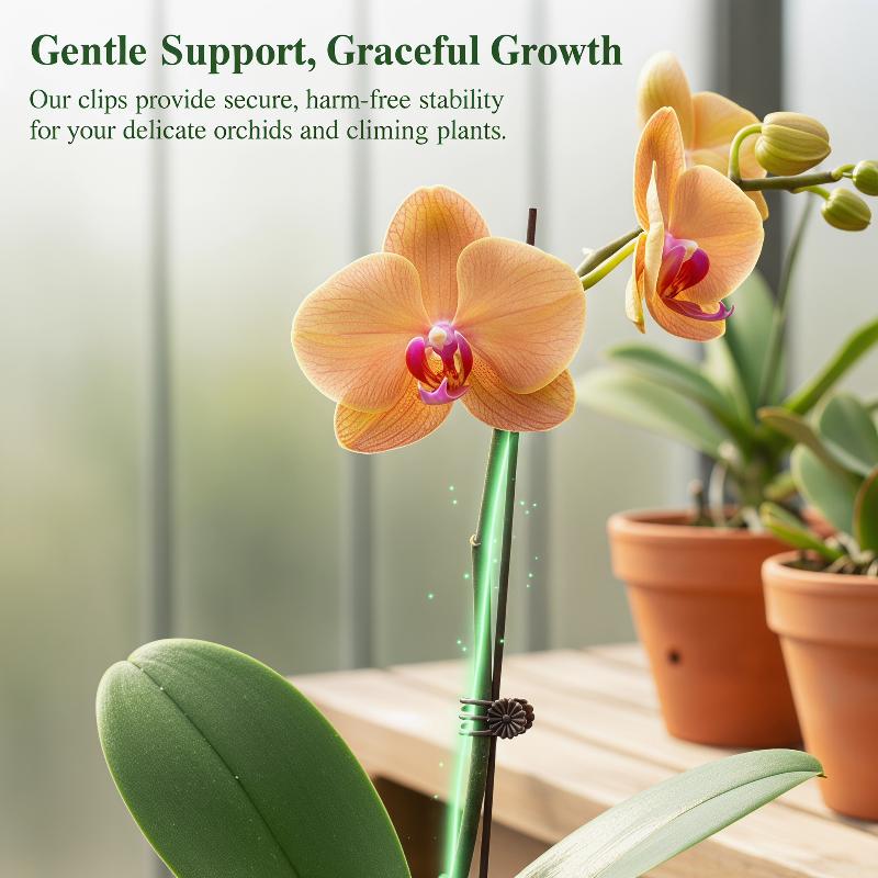 50Pcs Plant Fixed Clip Butterf - Florist Supply Bulk 评论和价格