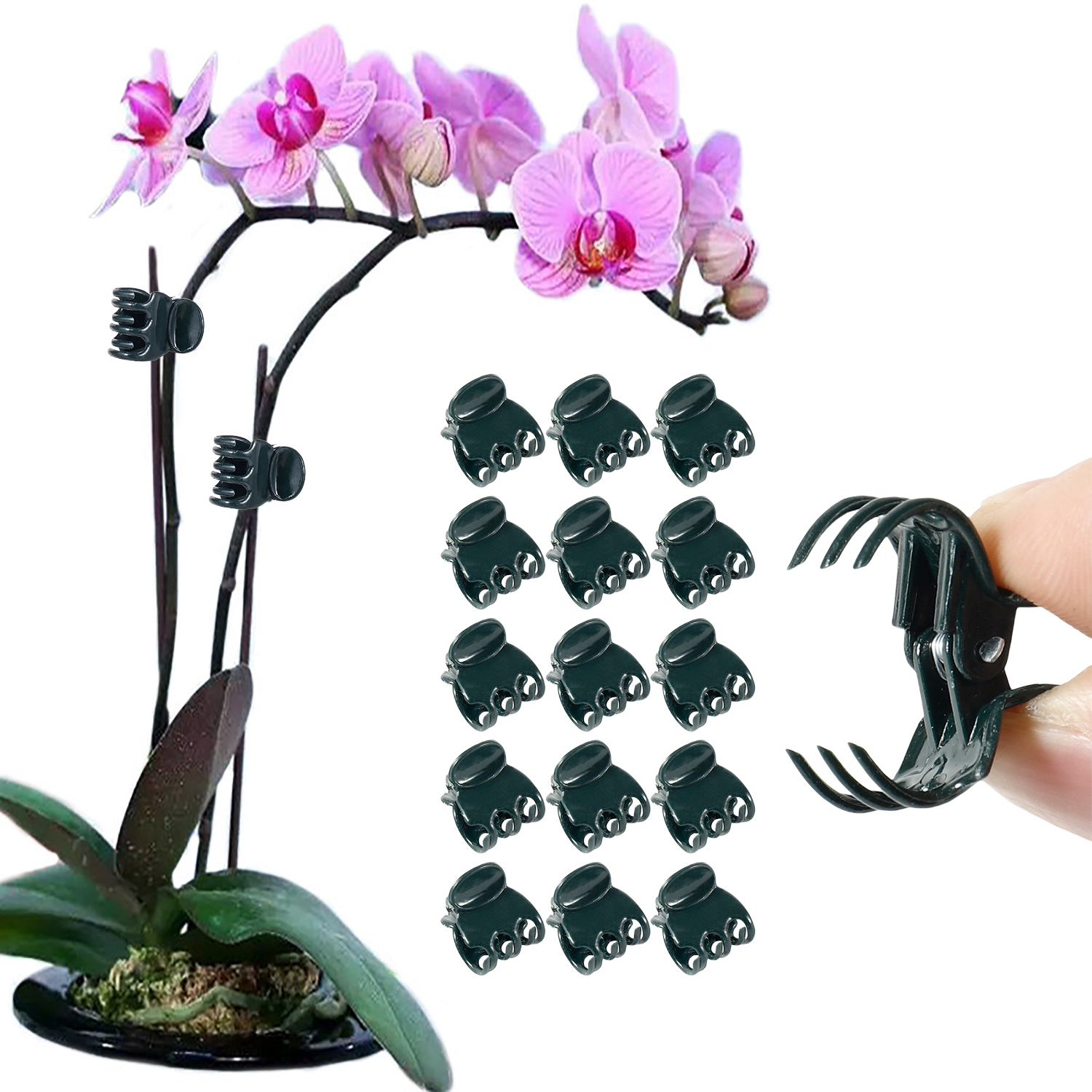 50/100Pcs Plant Clips Butterfl - Florist Supply Bulk 评论和价格