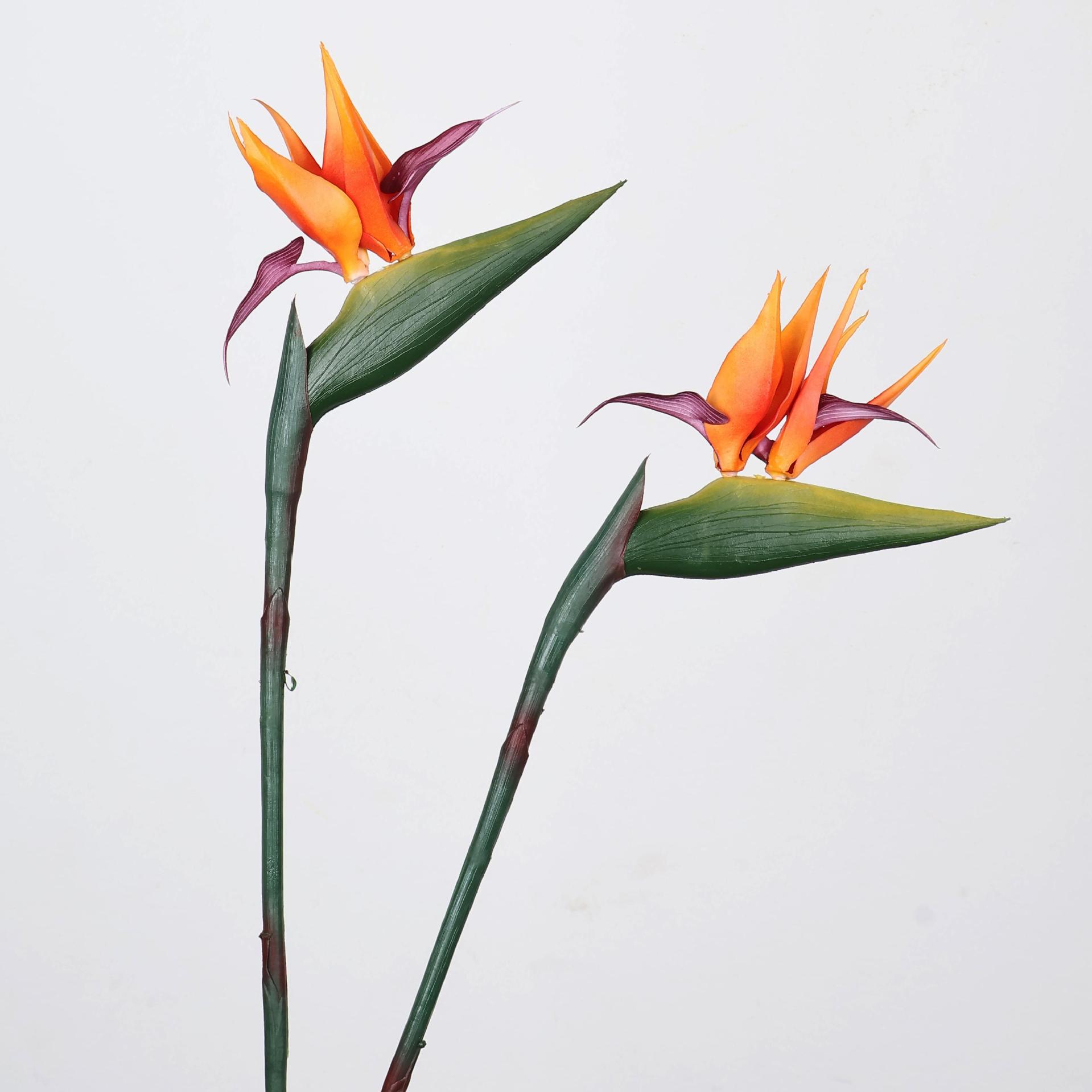 33 Inch Artificial Bird Of Par - Florist Supply Bulk 评论和价格