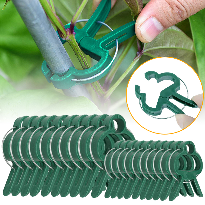 20Pcs Plant Fixed Clips Reusab - Florist Supply Bulk 评论和价格
