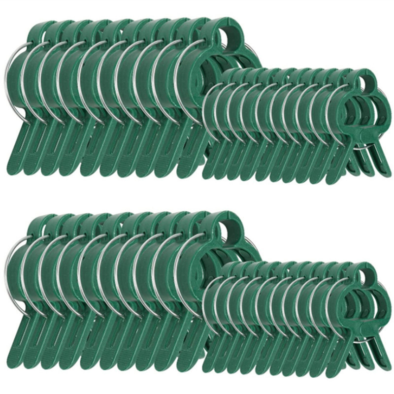 20Pcs Plant Fixed Clips Reusab - Florist Supply Bulk 评论和价格