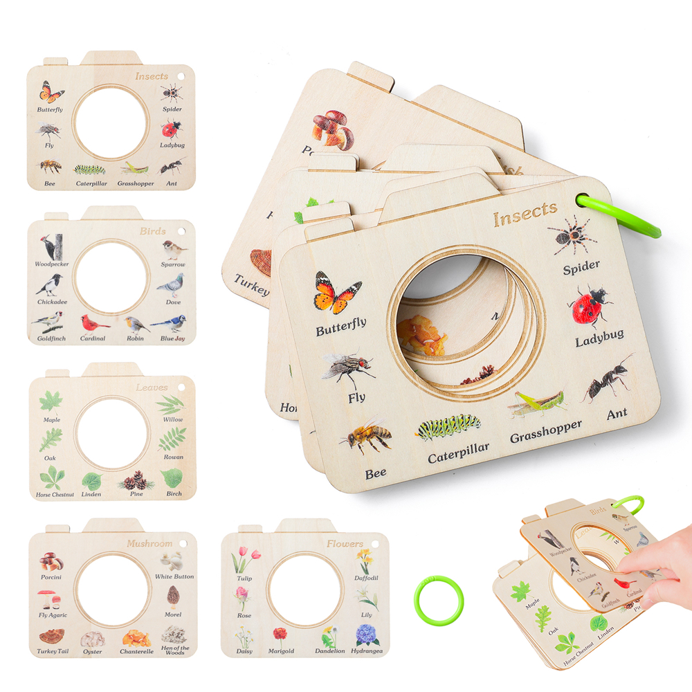Wooden Camera Shape Nature Cog - Florist Supply Bulk 评论和价格