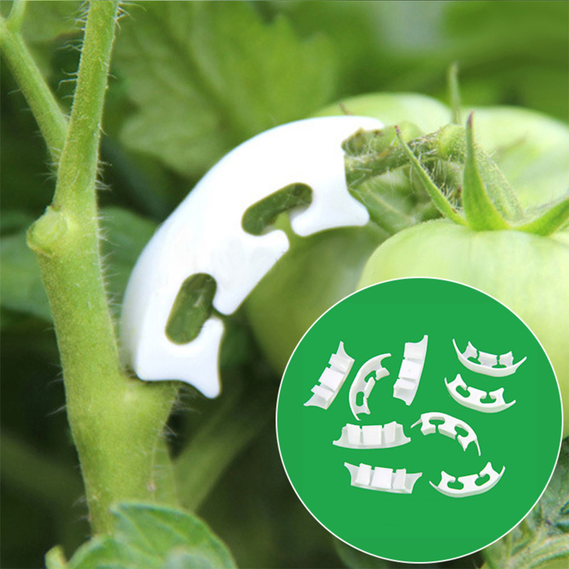 50/100pcs Botany-stem Vine Str - Florist Supply Bulk 评论和价格