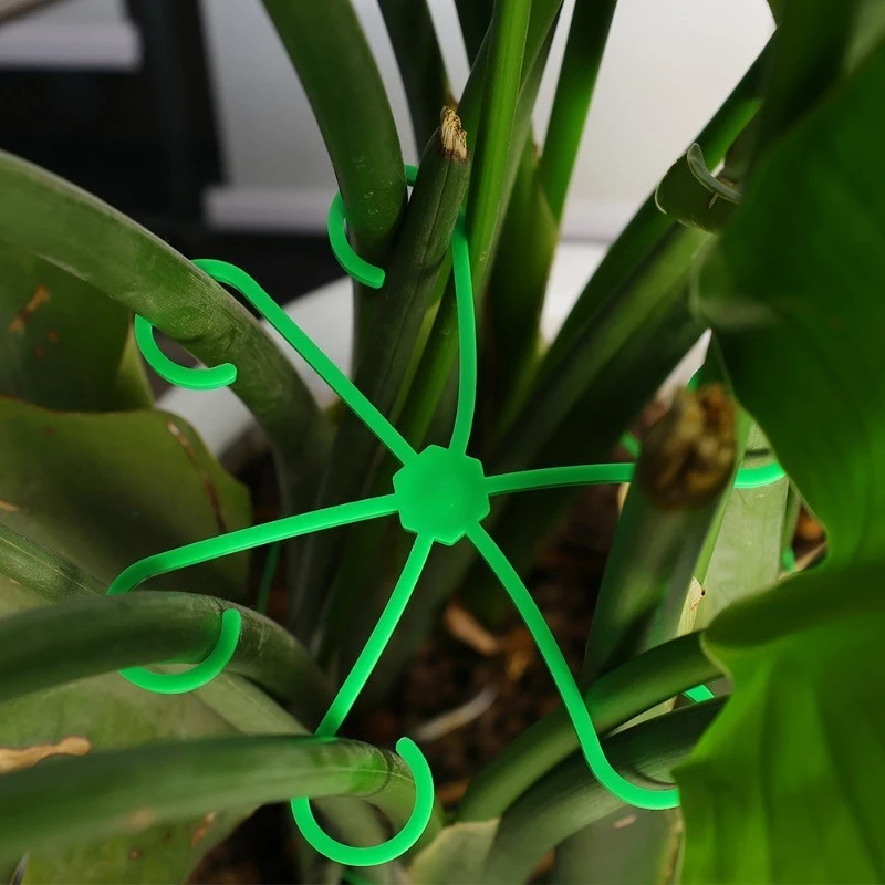 4pcs Plant Stem Support Clips  - Florist Supply Bulk 评论和价格