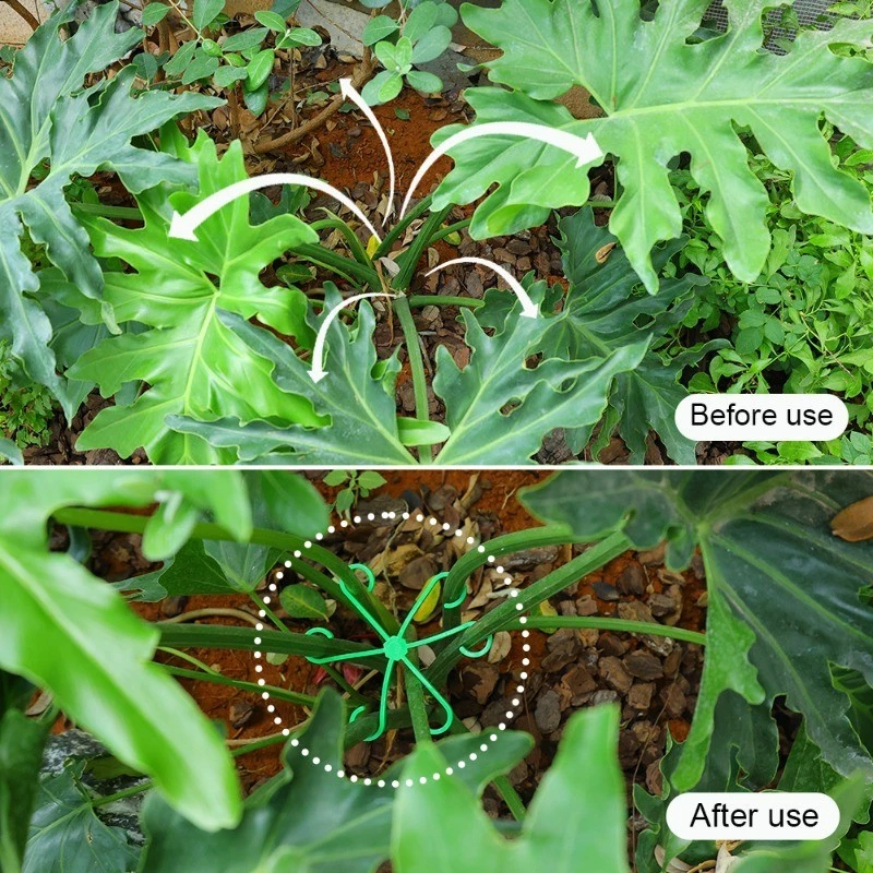 4pcs Plant Stem Support Clips  - Florist Supply Bulk 评论和价格