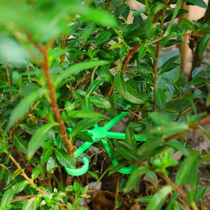 4pcs Plant Stem Support Clips  - Florist Supply Bulk 评论和价格